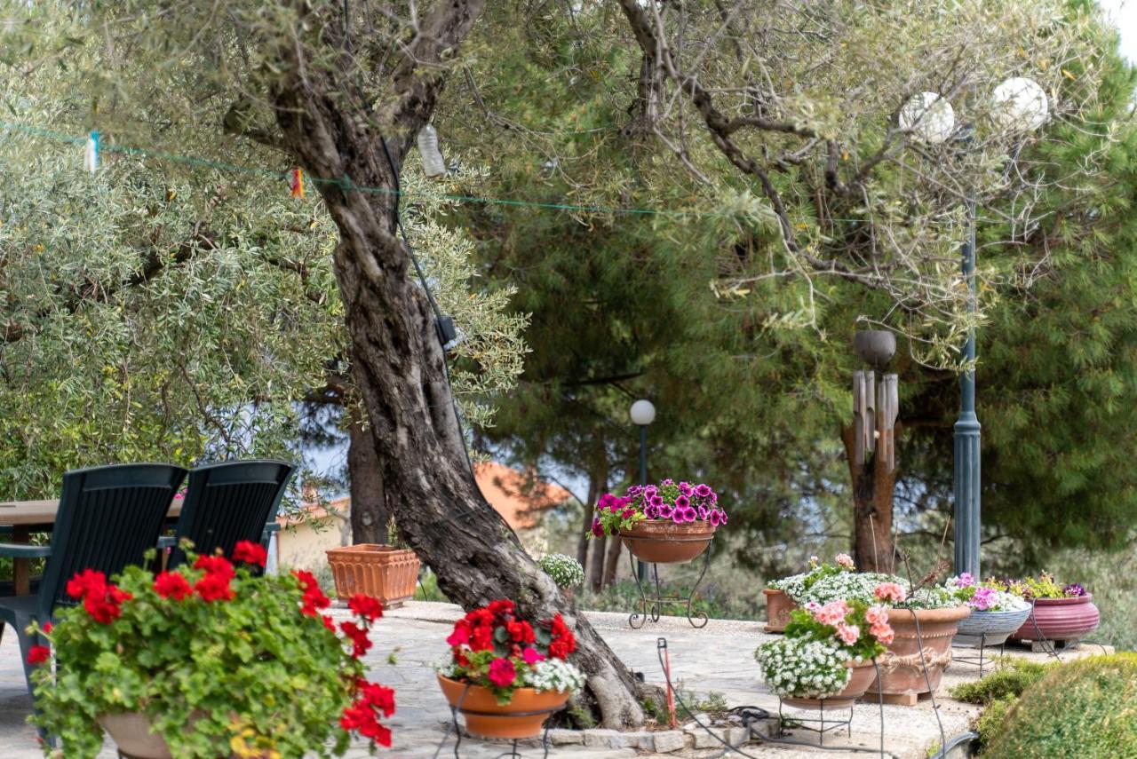 Villa Elia Kavala - Mediterranean Holiday Villa PalaiónTsiflíkion Extérieur photo