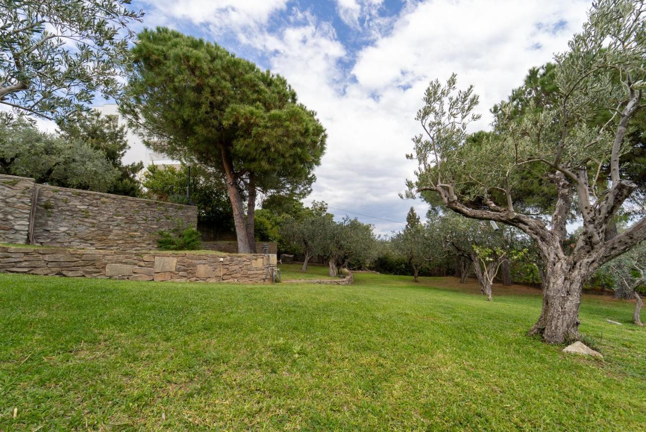 Villa Elia Kavala - Mediterranean Holiday Villa PalaiónTsiflíkion Extérieur photo
