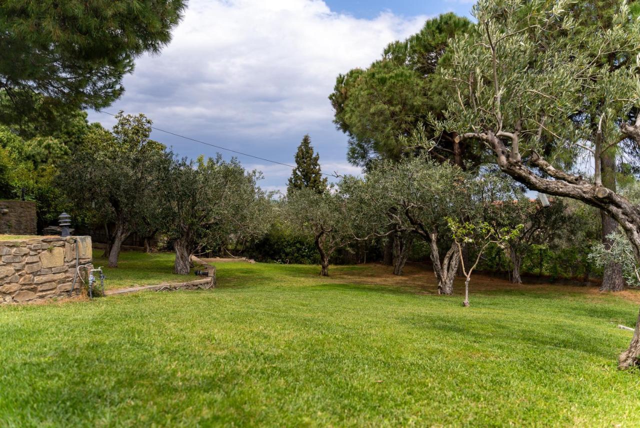 Villa Elia Kavala - Mediterranean Holiday Villa PalaiónTsiflíkion Extérieur photo